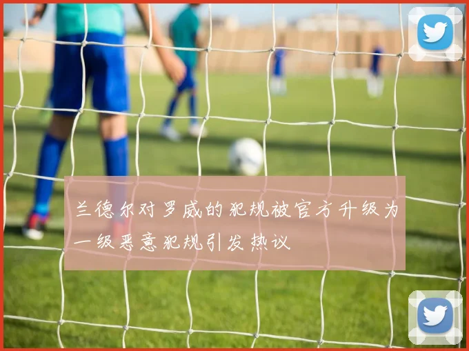 兰德尔对罗威的犯规被官方升级为一级恶意犯规引发热议