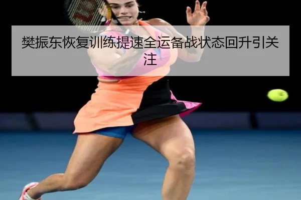 樊振东恢复训练提速全运备战状态回升引关注 - kaiyun